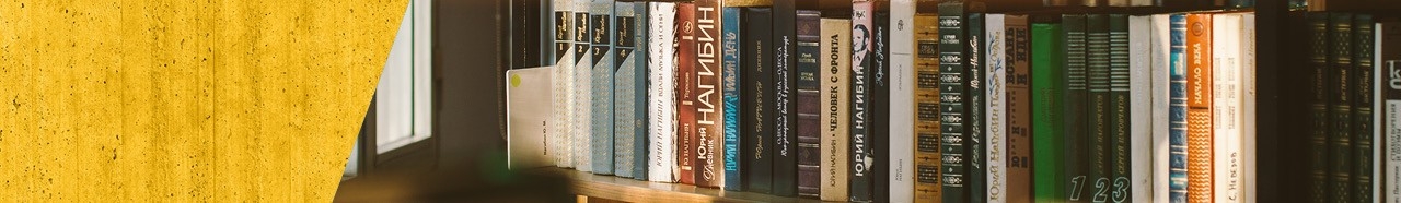 Line of books written in different languages