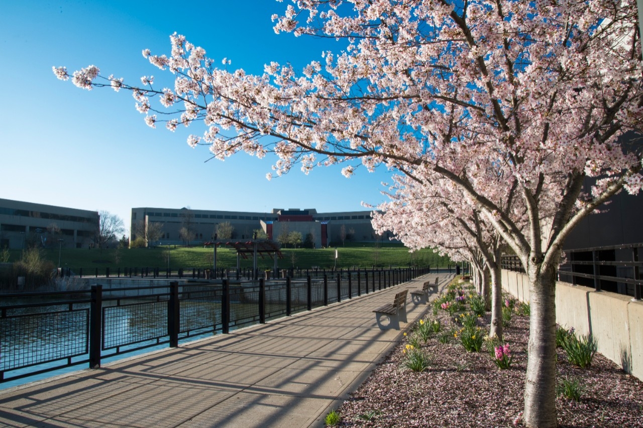 A view of the NKU campus in Springtime
