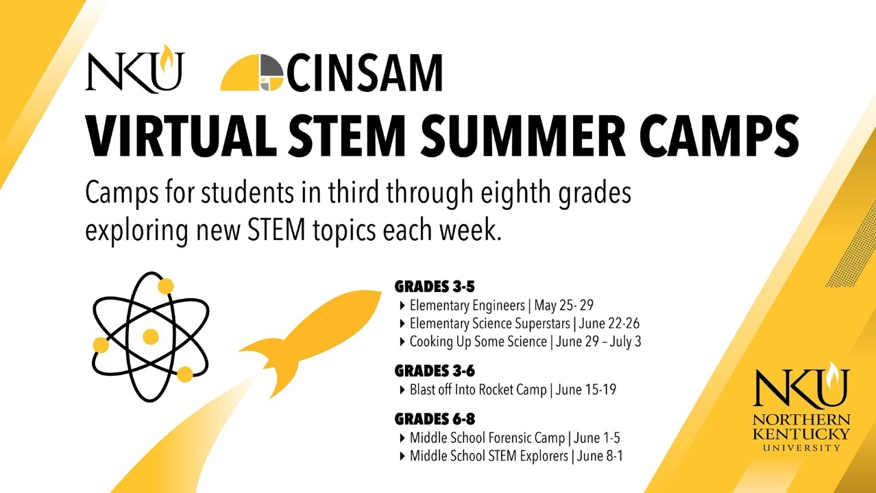 CINSAM Virtual STEM Summer Camps